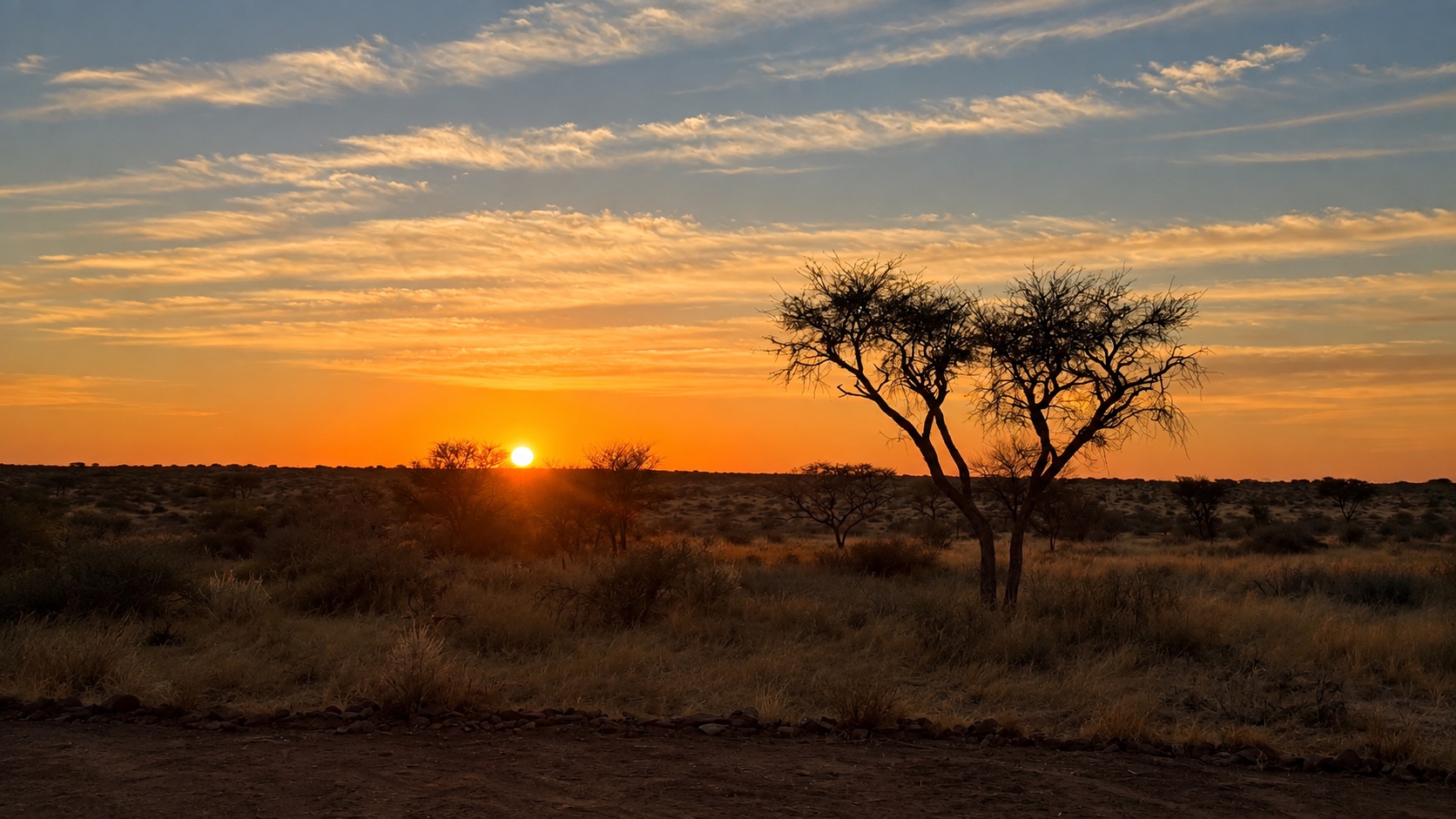 Goldener Sonnenuntergang über der Savanne