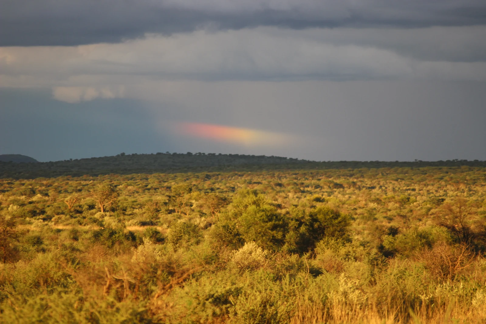 Ein Regenbogen über der Weite
